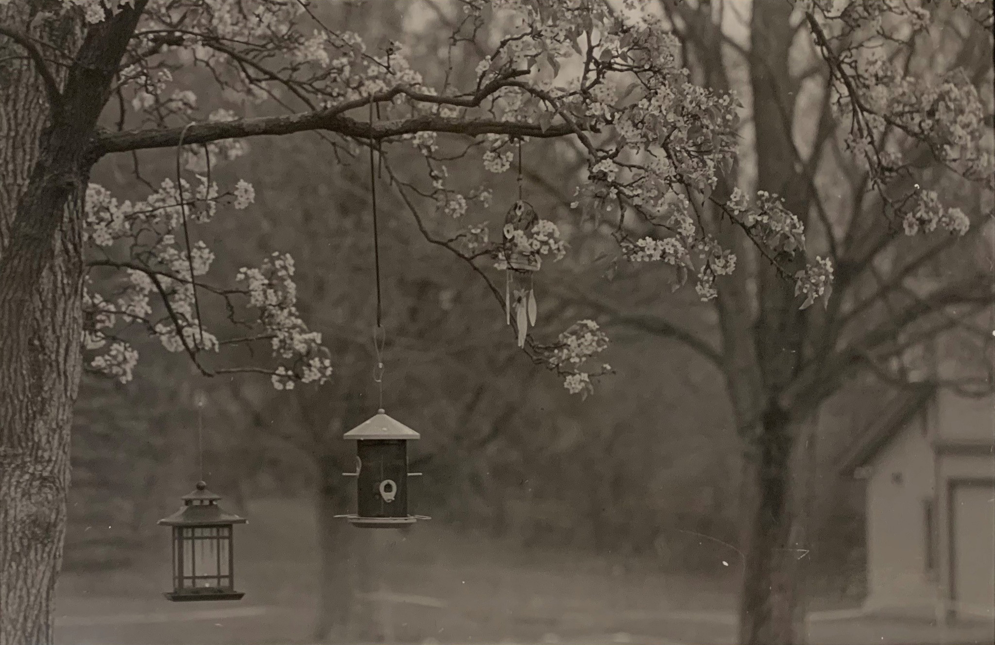 Photo by Sinclair Fine Art Student